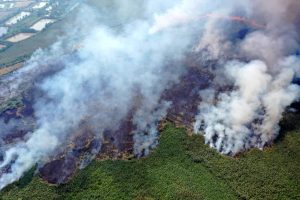 آتش دوباره به جان بخش عراقی تالاب هورالعظیم افتاد