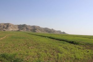 تجهیز دیمزار‌های مسجدسلیمان به سامانه آبیاری نوین