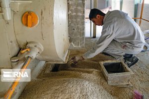 نظارت بهداشتی دامپزشکی بر ترخیص ۵.۶ میلیون تن نهاده دامی از بندر امام انجام شد