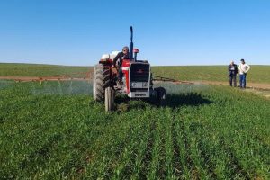 اجرای بزرگترین طرح آبی و خاکی خاورمیانه ۲۰۰ هزار فرصت شغلی در خوزستان به همراه دارد