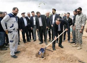 مهندس دانشی: تا ۱۴۰۴، هر شرکت بهره بردار ۱ میلیون نهال را تولید و کشت خواهد کرد