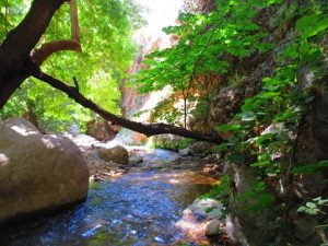 تعطیلی مناطق گردشگری باغملک در استان خوزستان