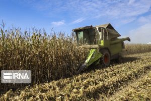 تولید بر مبنای علم در دستور کار کشاورزان خوزستانی قرار گیرد