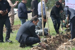 افزون بر ۱۵۰ هزار نهال در شهرستان دزفول کاشته شد