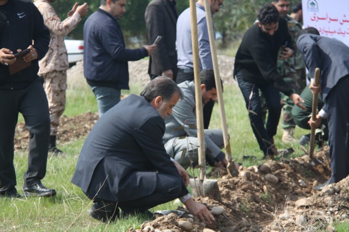 افزون بر ۱۵۰ هزار نهال در شهرستان دزفول کاشته شد افزون بر ۱۵۰ هزار نهال در شهرستان دزفول کاشته شد