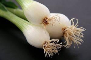 خواص درمانی پیازچه برای سلامت قلب و تقویت استخوان‌ها