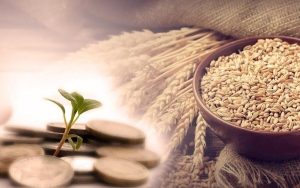 آمادگی مراکز بهزیستی خوزستان برای دریافت زکات فطریه