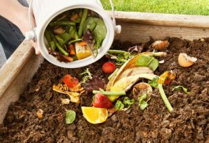 تولید روزانه ۱۰۰ تن کود کمپوست در اهواز با راه اندازی کارخانه کمپوست