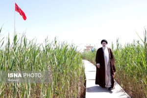 شهید رئیسی توجه به محیط زیست را اصل پروژه‌های توسعه‌ای می‌دانست