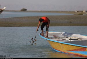 تولید ۱۳۴ هزار تن محصولات شیلاتی در خوزستان