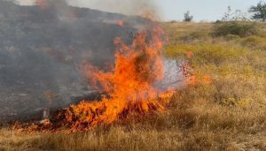 آتش سوزی در مراتع منطقه گردشگری دوراهی مسجدسلیمان -لالی