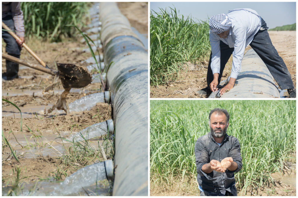 رگ حیات نیشکر در دست «آبیارها» رگ حیات نیشکر در دست «آبیارها»