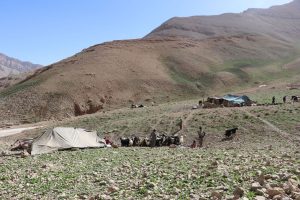 خریداری ۶۵۰ مخزن آب برای عشایر خوزستان