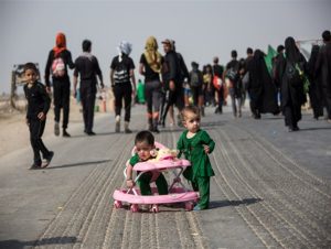 برگزاری تور عکاسی از پیاده‌روی اربعین