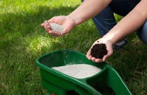 افزایش ذخیره کود‌ شیمیایی در خوزستان