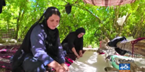 قالیبافی، هنر زنان عشایر بختیاری