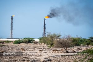 جمع‌آوری بیش از ۹۰ درصد گازهای مشعل تا ۱۴۰۴ در مناطق نفت‌خیز جنوب