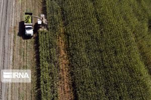 توسعه کشاورزی خوزستان در دستور کار