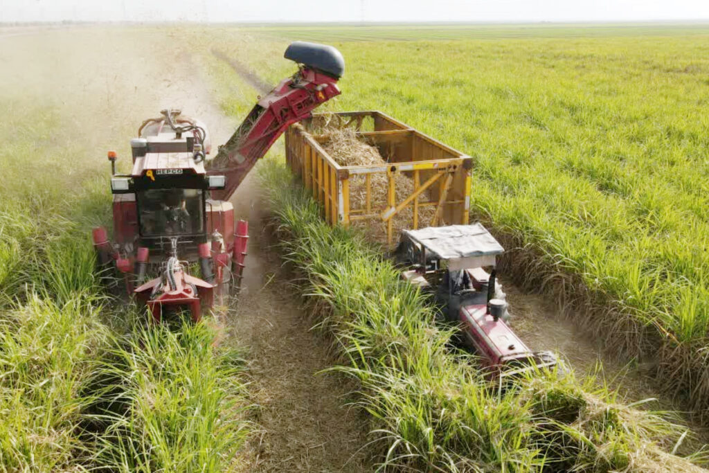 رکوردشکنی توسعه نیشکر با سود ۸۴۰۰ میلیاردتومانی رکوردشکنی توسعه نیشکر با سود ۸۴۰۰ میلیاردتومانی