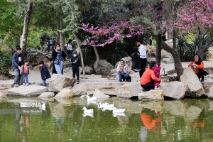 آغاز موج اول سفرهای نوروزی به مازندران