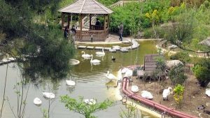 باغ پرندگان اندیمشک در مجموعه گردشگری والفجر افتتاح می شود