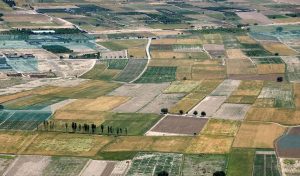 تعیین تکلیف ۹۰ درصد پلاک‌های مشمول رفع تداخلات در کشور