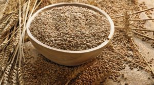 راهکار‌های طلایی برای افزایش جذب مواد مغذی سبوس گندم