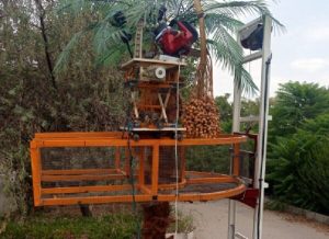 افزایش تولید خرما به ۵۰۰ هزار تن ر خوزستان با اجرای طرح فناورانه