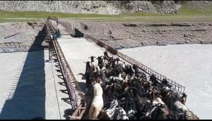 پلی که گَرگَر را حذف کرد؛ تسهیل تردد عشایر شمال خوزستان و لرستان