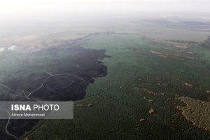 هشدار وقوع آتش‌سوزی تالاب‌ها با آغاز فصل گرما