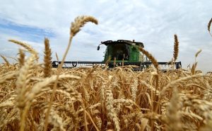 خریداری بیش از ۲ میلیون و ۱۴۴ هزار تن محصولات پاییزه در خوزستان