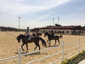 درخشش سوارکاران خوزستان در نخستین رویداد کشوری مسابقات ایونتینگ