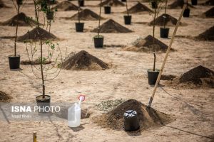 پروژه کمربند سبز اهواز نیازمند بازنگری و اراده جدی است