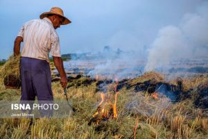 ۵ سال حبس در انتظار عاملان آتش‌زدن بقایای کشاورزی