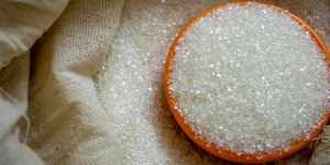 تولید بیش از ۷۲۱ هزار تن شکر سفید در توسعه نیشکر