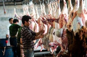 آغاز فرآیند بازسازی و رفع نواقص کشتارگاه شوش