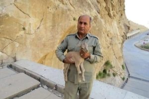 دستگیری ۲ نفر در پرونده شهادت محیط‌بان