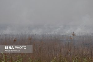 درخواست استاندار خوزستان برای صدور فوری مجوز پرواز هواپیماهای آب‌پاش توسط عراق 