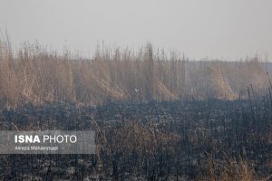 آغاز مهار آتش بخش عراقی «هورالعظیم» با هواپیمای آب‌پاش ایرانی