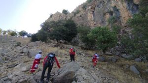 ادامه جست‌وجو برای یافتن دامپزشک گمشده در اندیکا در دوازدهمین روز