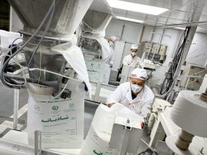 تولید بیش از ۷۲۱ هزار تن شکر سفید در توسعه نیشکر