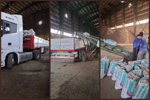 نخستین محموله خوراک دام نیشکری ایران به عراق صادر شد