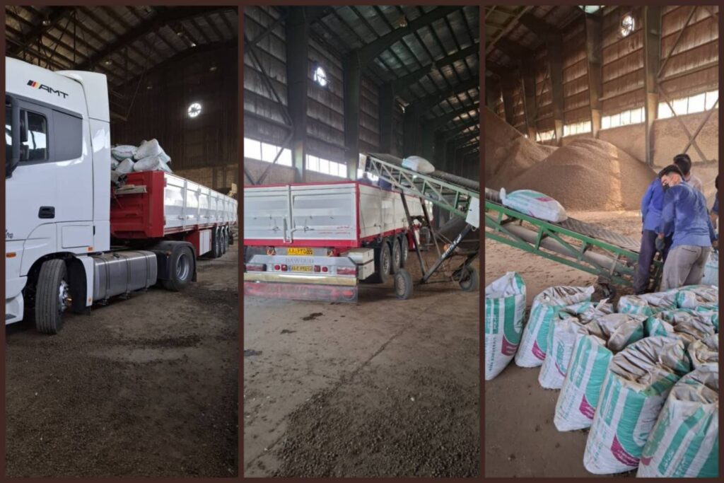 نخستین محموله خوراک دام نیشکری ایران به عراق صادر شد نخستین محموله خوراک دام نیشکری ایران به عراق صادر شد