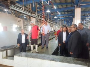 کشتارگاه صنعتی دام رامین در شهرستان باوی به بهره‌برداری رسید