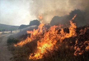 تداوم انتشار دود ناشی از آتش سوزی بخش عراقی هورالعظیم در خوزستان