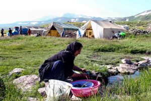 پرداخت ۱۰۰ میلیارد ریال تسهیلات اشتغالزایی به عشایر شوش و کرخه