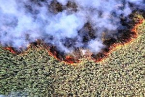 مشکل خودسوزی هورالعظیم با همکاری کشورهای ایران، عراق و ترکیه قابل حل است