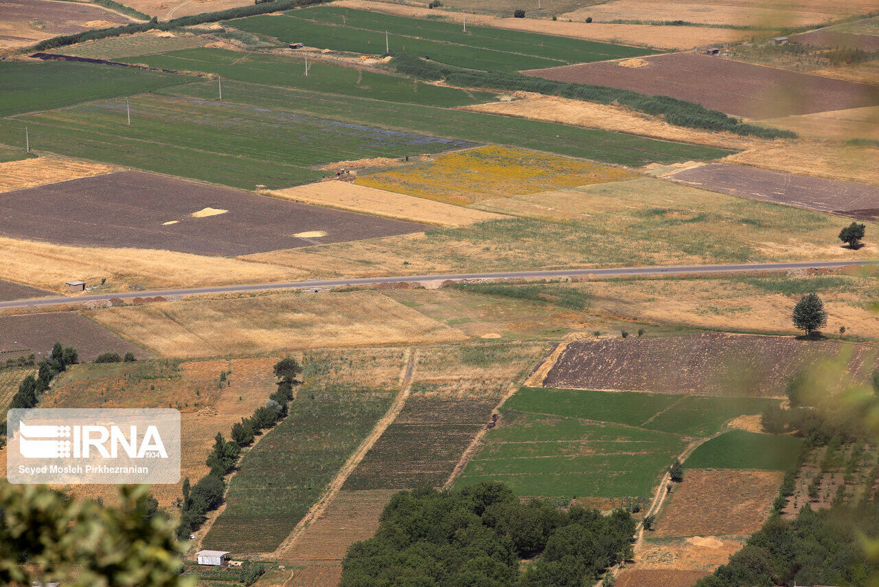 کشاورزی خوزستان در جدال با بحران کم آبی کشاورزی خوزستان در جدال با بحران کم آبی