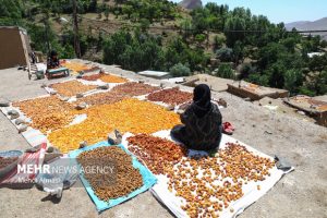 الهایی: توسعه گردشگری در روستاهای هدف مغفول مانده است