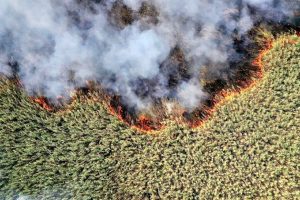 بررسی رهاسازی آب از سد سیمره برای مهار آتش سوزی تالاب هورالعظیم